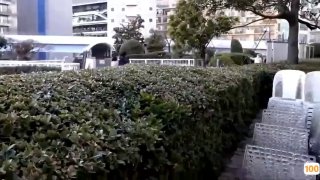 [短视频区] 好日